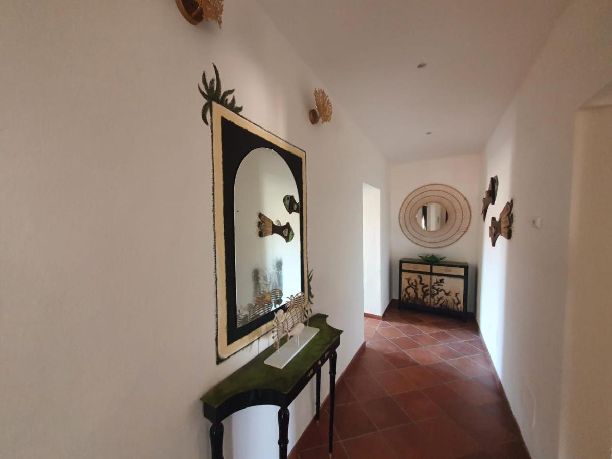 Aquarius Apartment Pisa Kültér fotó